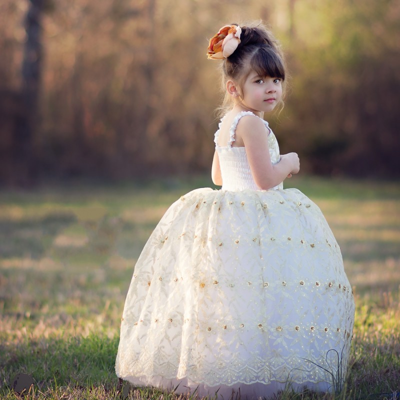Gold Embroidery Flower Girl Dresses Tulle Ball Gown Little Girls